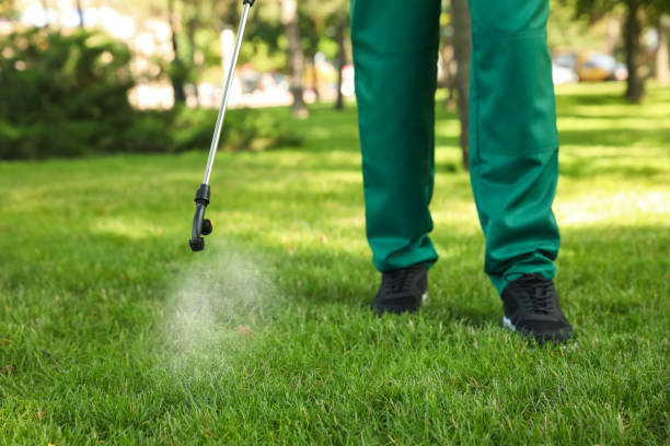 Best Bed Bug Extermination  in Palouse, WA